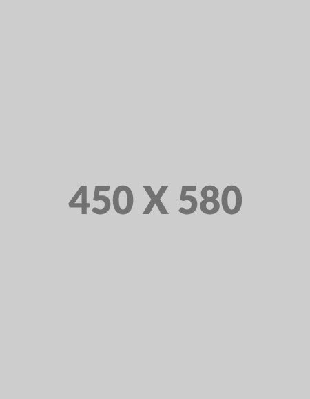 450x580 450x580